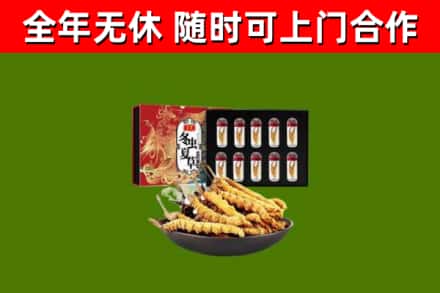 江西省回收冬虫夏草价格