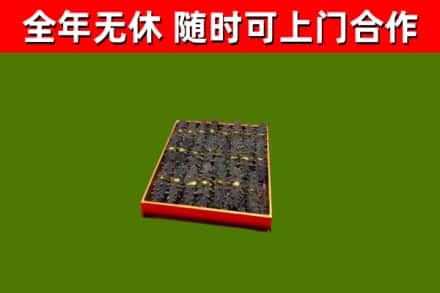 江西省回收海参